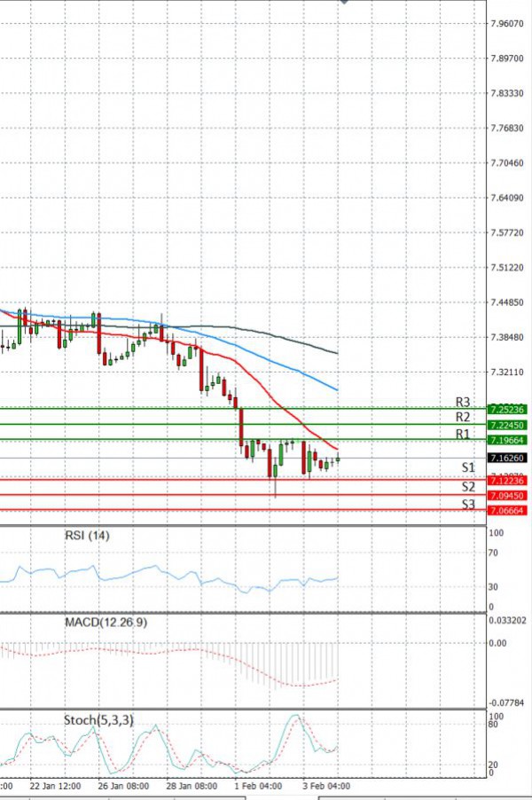 Dollar - Turkish Lira Analiza Analiza Teknike 04/02/2021