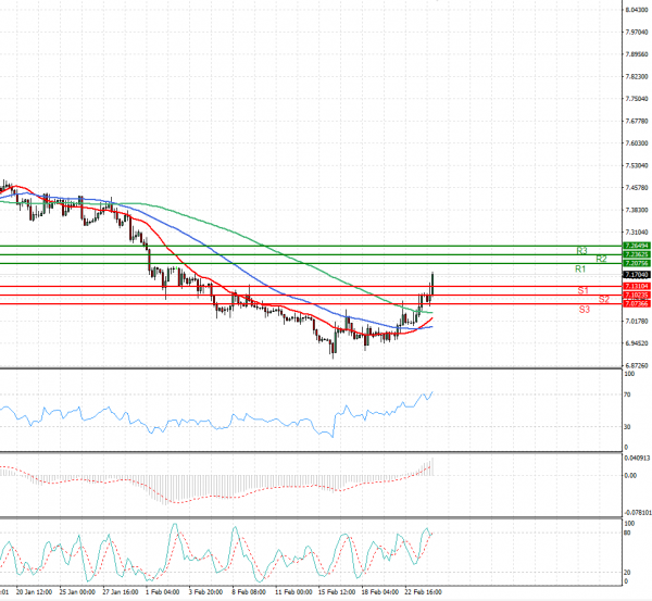 Dollar - Turkish Lira Analysis Technical analysis 24/02/2021